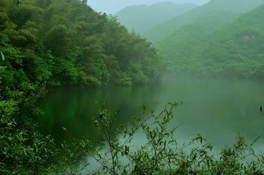 石台牯牛降  九华天池  天池游船  冰河谷漂流  齐山二日游